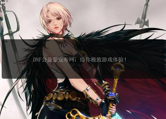 DNF公益服发布网：为玩家提供便利却暗藏安全与合法性问题？